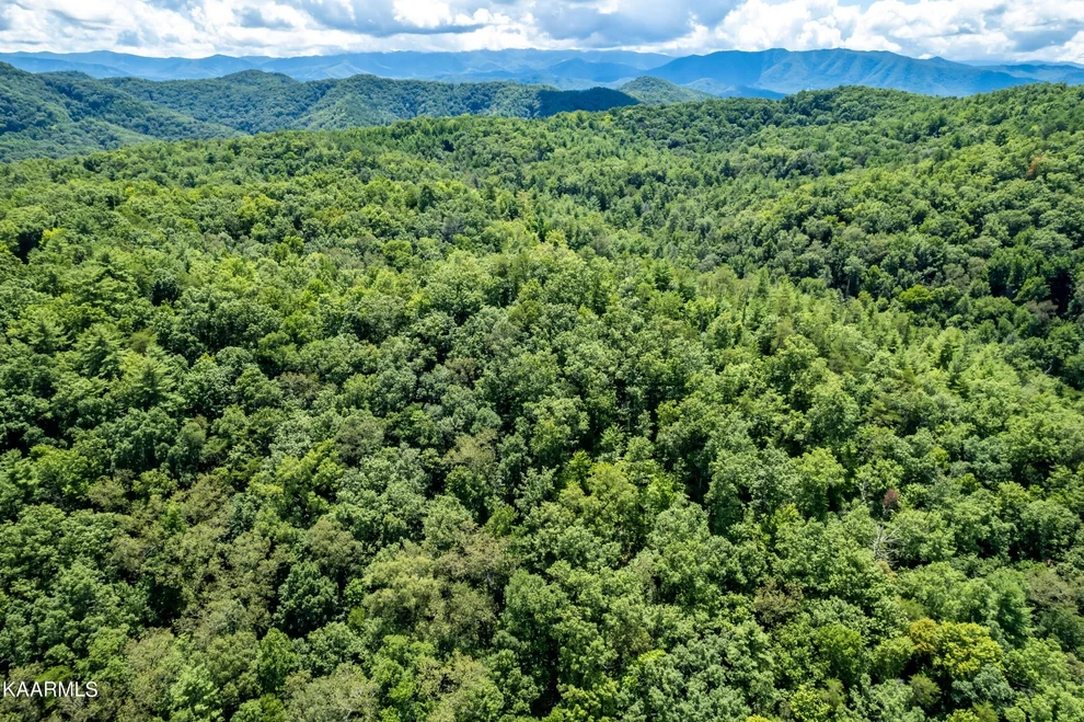 Unit for sale at 0 Christa Trail, Walland, TN 37886