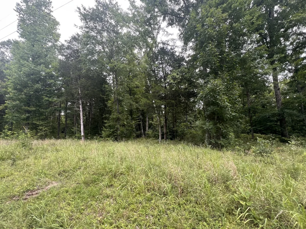 Unit for sale at 6 Toms Creek Lake Rd, Linden, TN 37096