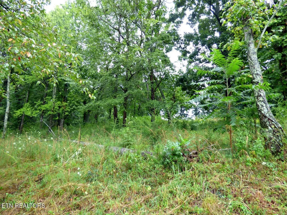 Unit for sale at 37 Stonehenge Way, Dandridge, TN 37725