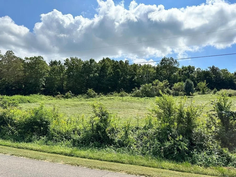 Unit for sale at 0 Baker Springs Road, White Pine, TN 37890