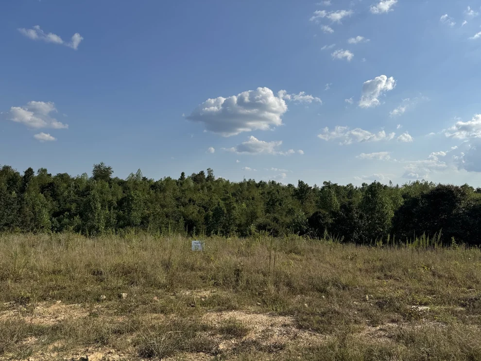Unit for sale at 169 Twin Pines Rd, Lobelville, TN 37097