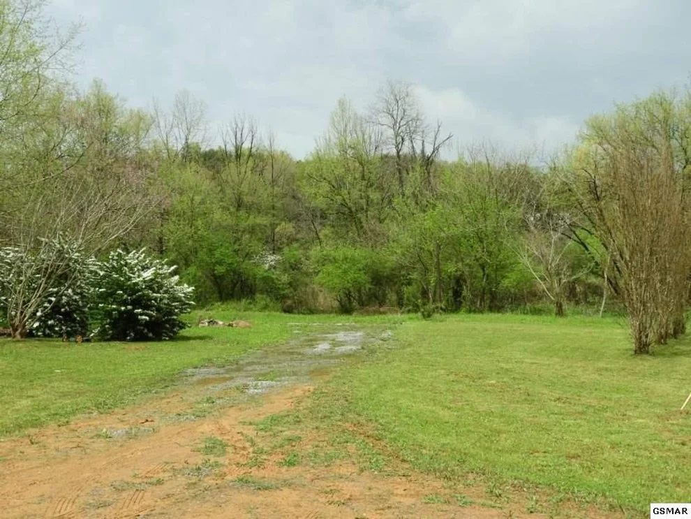 Unit for sale at 4961 Bogard Road, Cosby, TN 37722