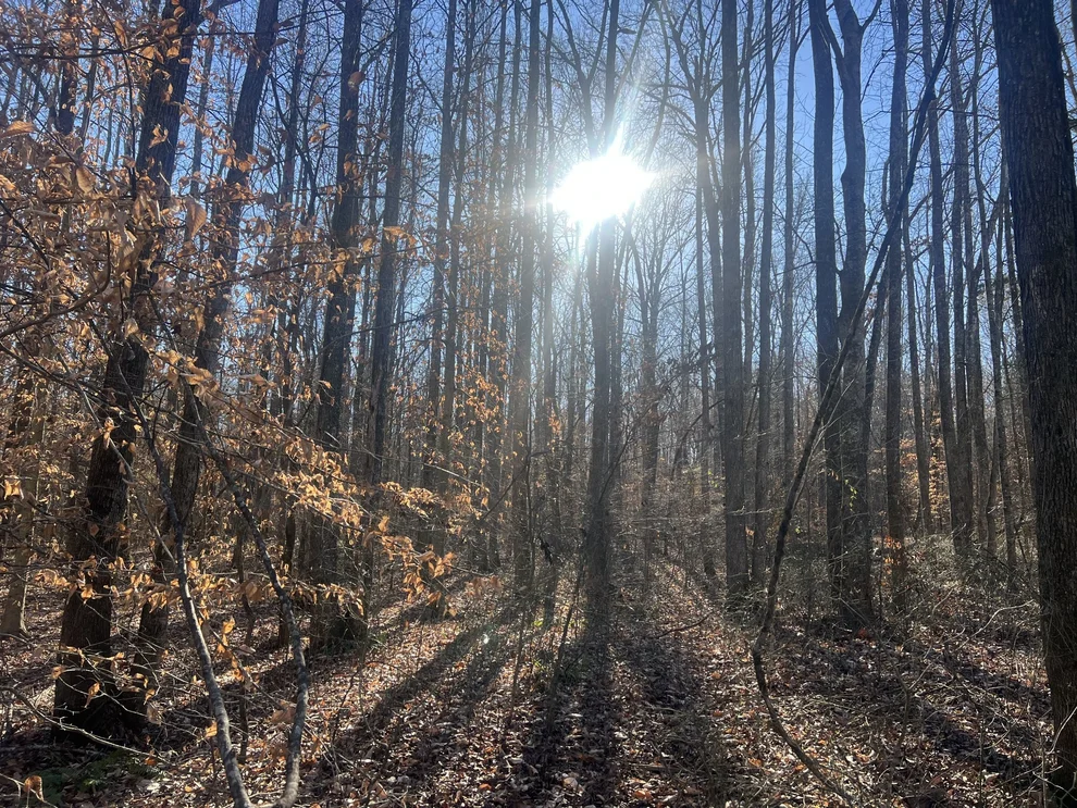 Unit for sale at 0 Excalibur Trail, Cedar Grove, TN 38321
