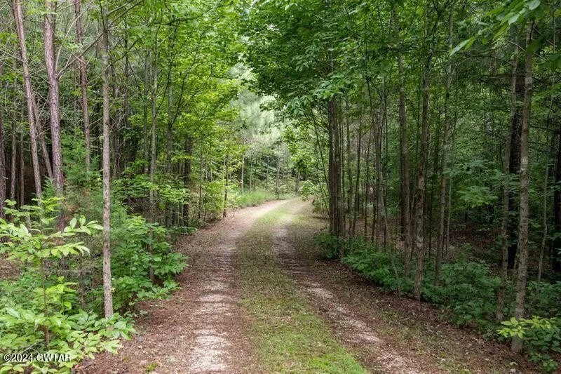 Unit for sale at 10981 Darden Christian Chapel Rd, Wildersville, TN 38388