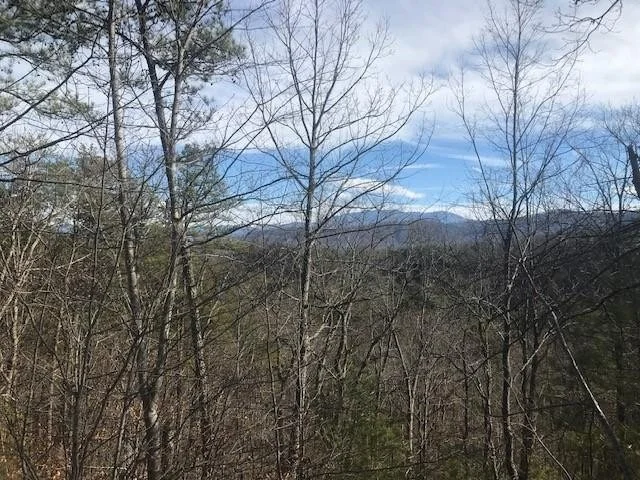 Unit for sale at 18 Lighting Strike Drive, Sevierville, TN 37862