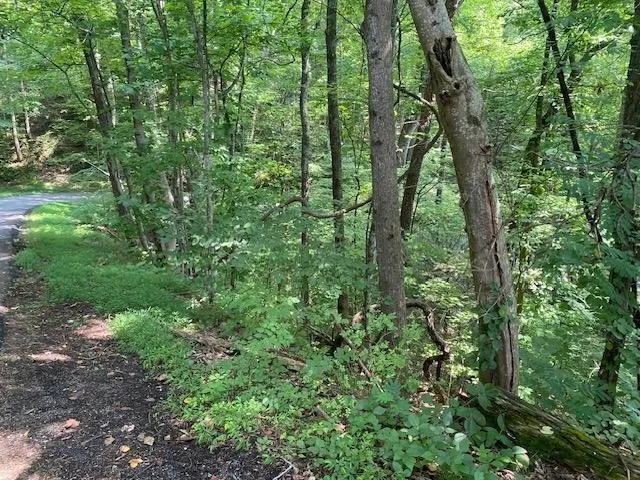 Unit for sale at 564 Silver Poplar Ln, Sevierville, TN 37876