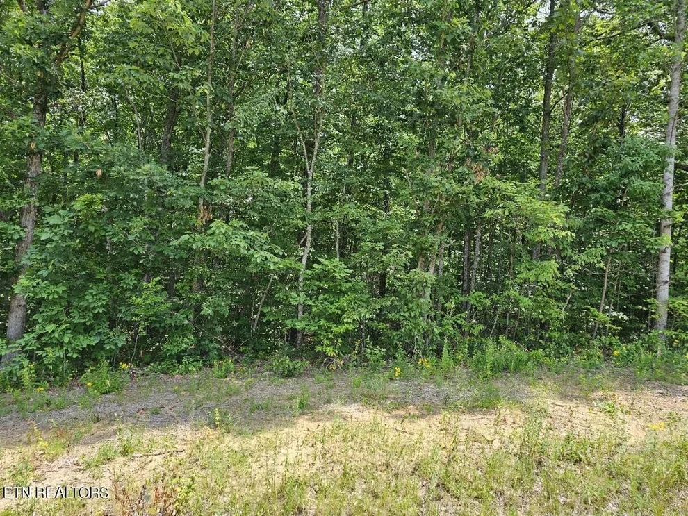 Unit for sale at 0 Gray Fox Drive, Crossville, TN 38571