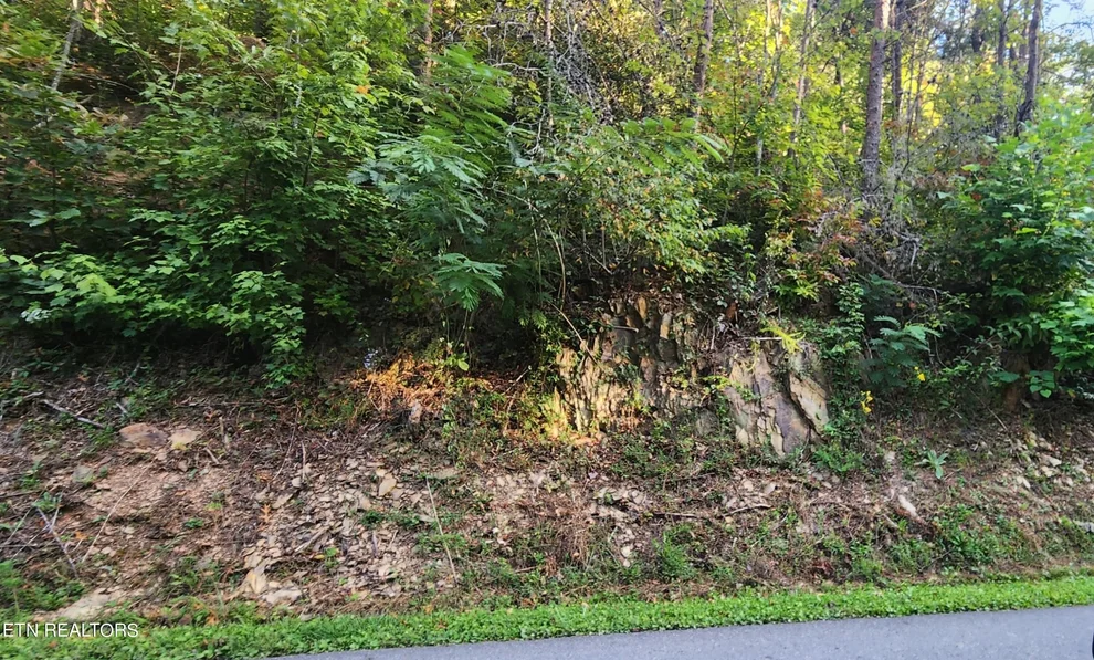 Unit for sale at 0 School House Gap Rd, Sevierville, TN 37876