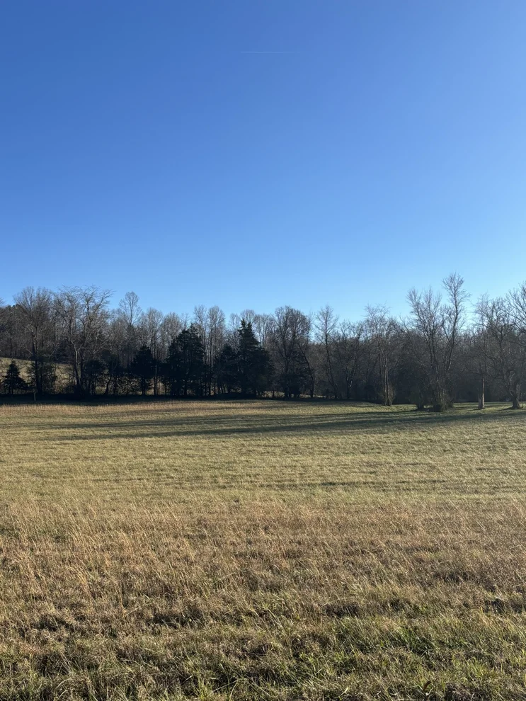 Unit for sale at 0 Highway 70 E, Waverly, TN 37185