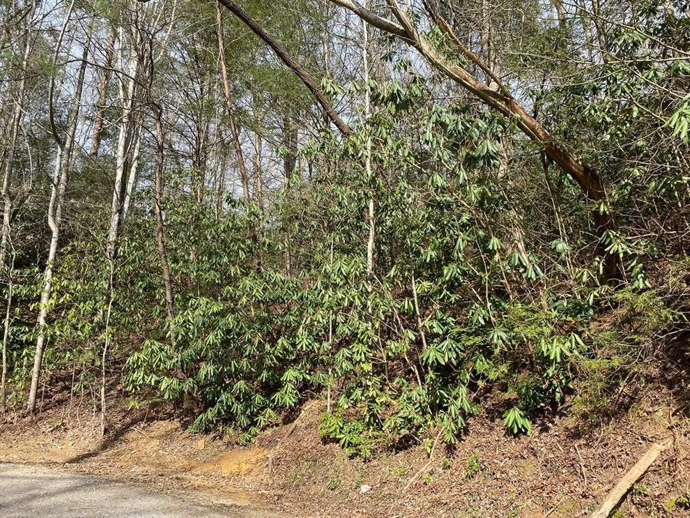 Unit for sale at 8 Palmer Road, Gatlinburg, TN 37738