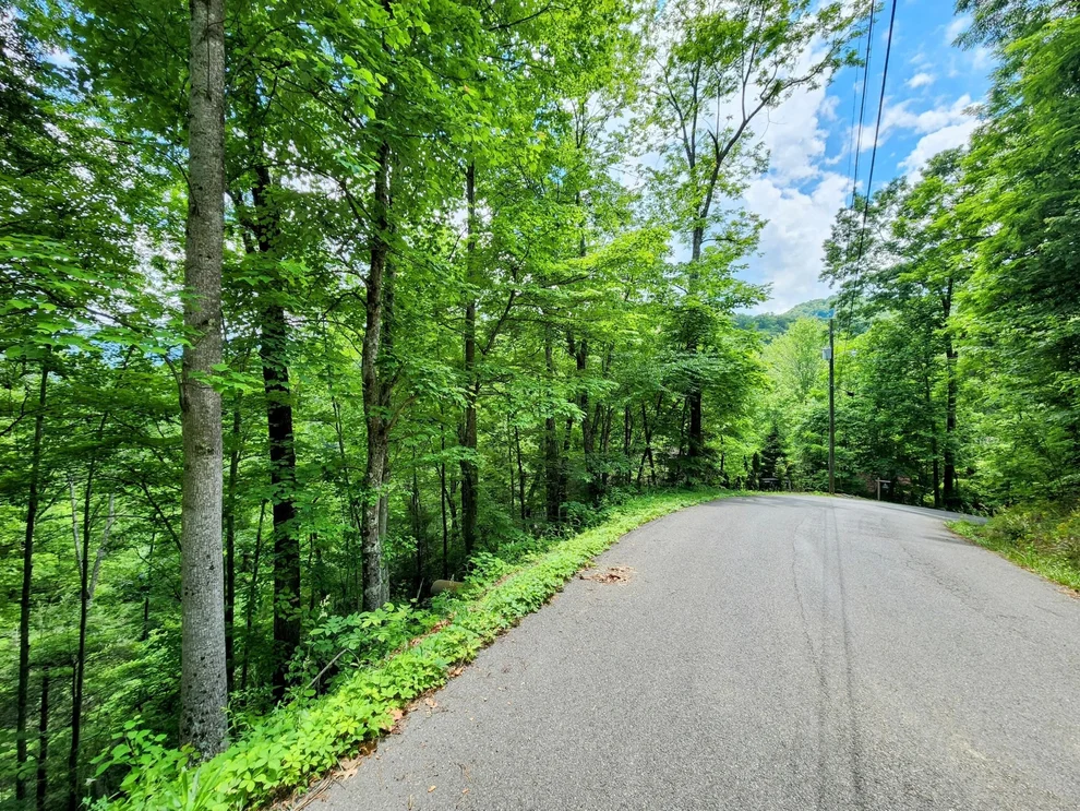Unit for sale at 6 Alpenrose Dr, Gatlinburg, TN 37738
