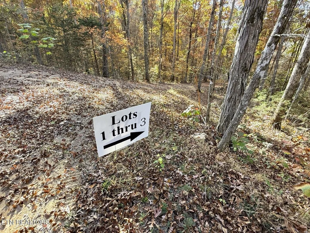 Unit for sale at 13 Topaz Way, Parrottsville, TN 37843