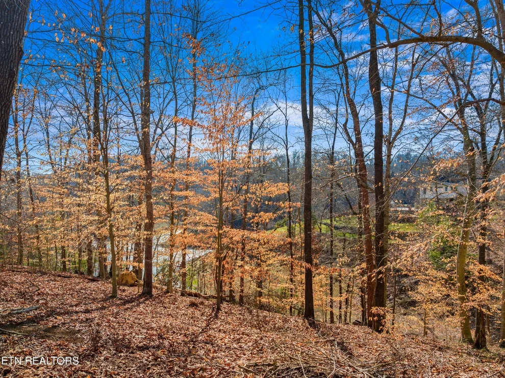 Unit for sale at 2 Persimmon Orchard Drive, Dandridge, TN 37725