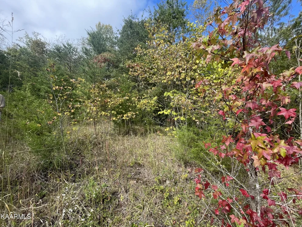 Unit for sale at 0 Rondayview Lane, Sevierville, TN 37876