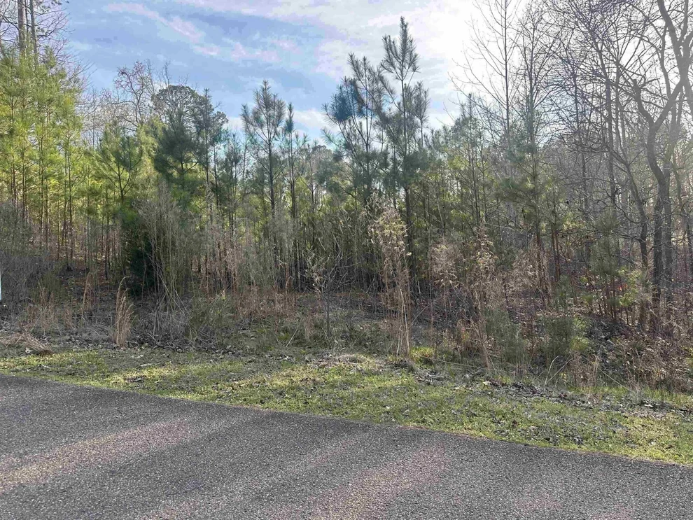 Unit for sale at 0 SHILOH FALLS COURT RD, Savannah, TN 38372
