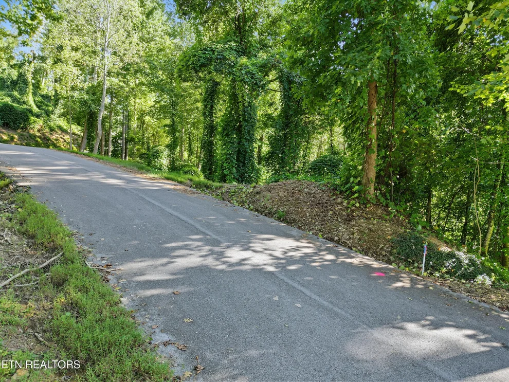 Unit for sale at 15 Davenport Rd, Gatlinburg, TN 37738