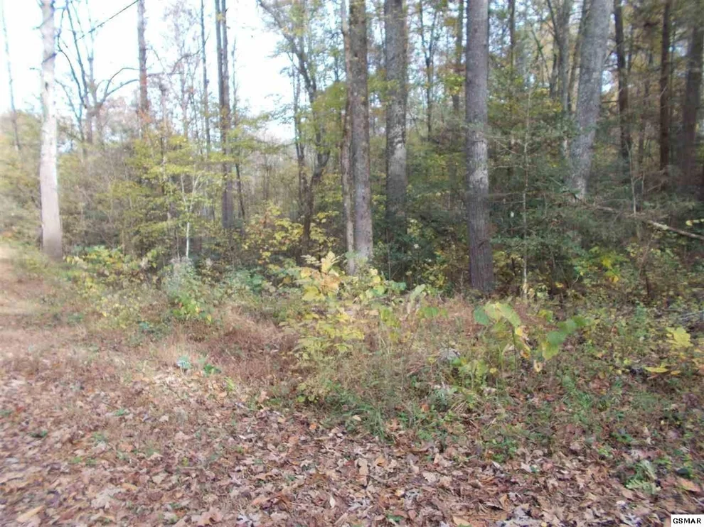 Unit for sale at 0 Holly Lane, Sevierville, TN 37876