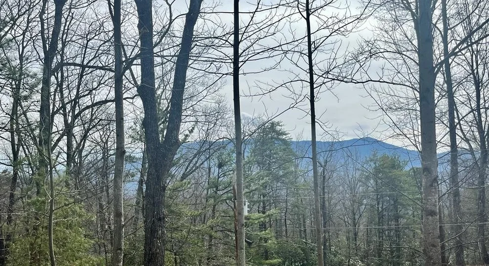 Unit for sale at 23 Carter Plaza Drive, Gatlinburg, TN 37738