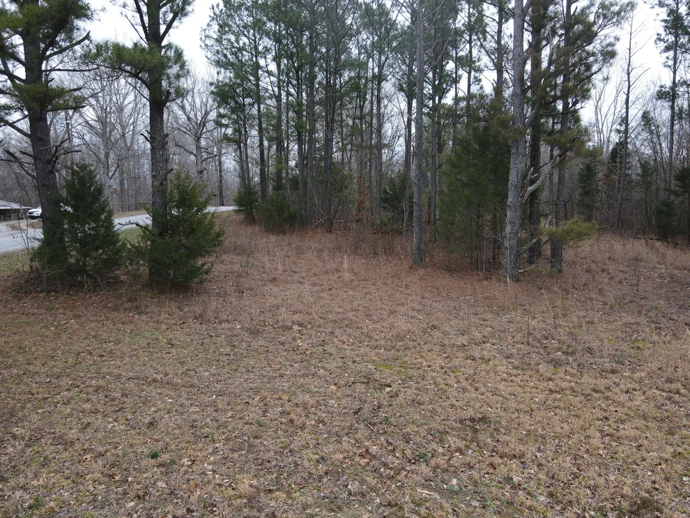 Unit for sale at 0 Holladay, Parsons, TN 38363