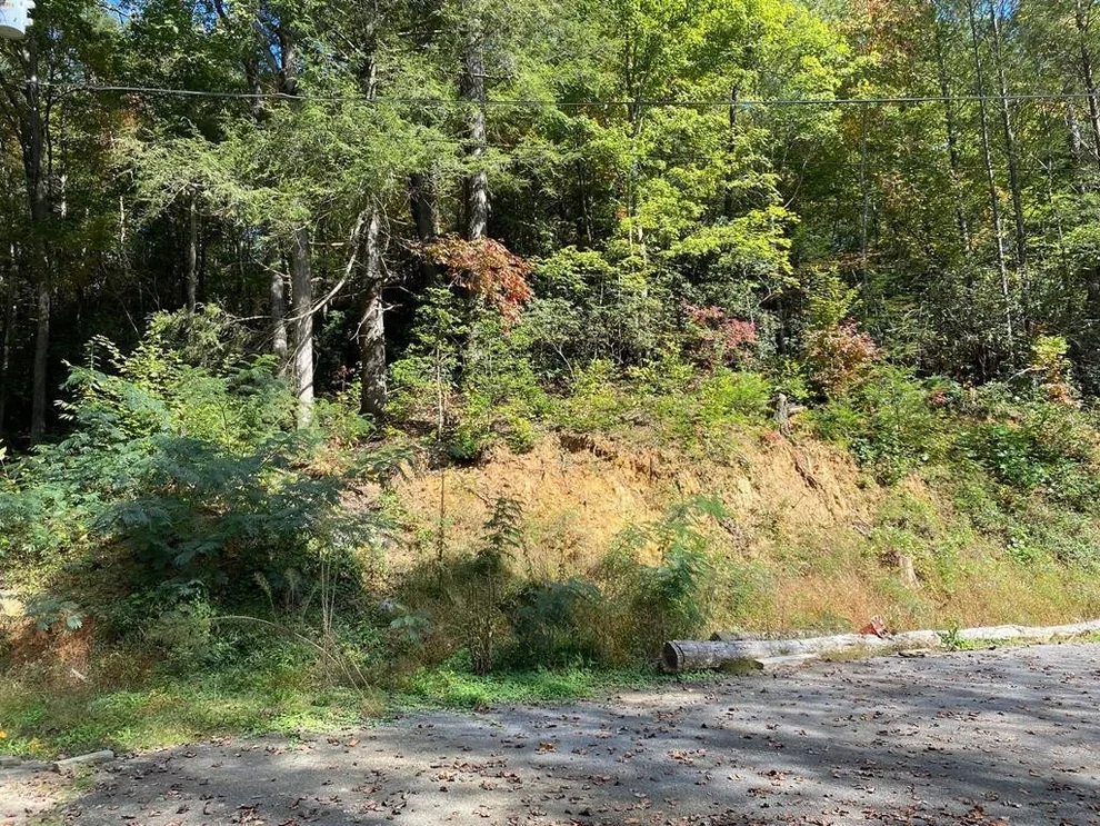 Unit for sale at 0 Palmer Road, Gatlinburg, TN 37738
