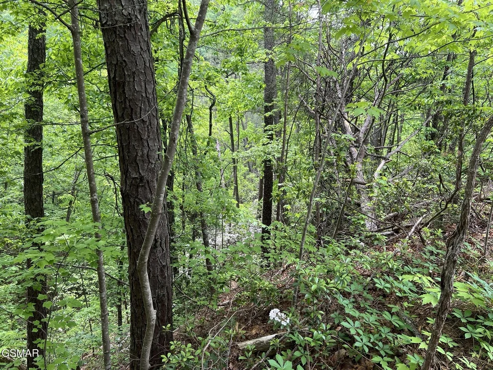 Unit for sale at 4 Yost Way, Sevierville, TN 37876