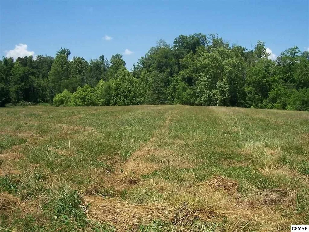 Unit for sale at 516 Running Brook Drive, Strawberry Plains, TN 37871