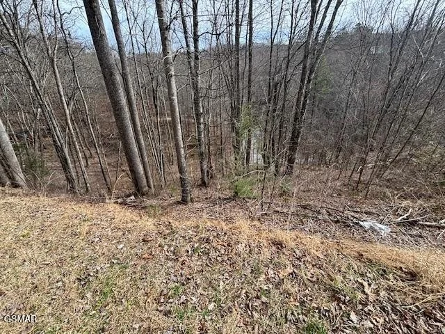 Unit for sale at 444 Sky View, Sevierville, TN 37876