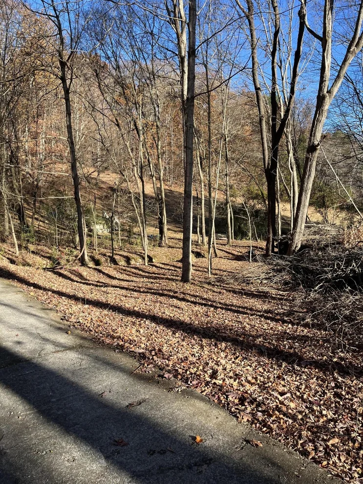 Unit for sale at 224 Pattie Gap Road, Philadelphia, TN 37846