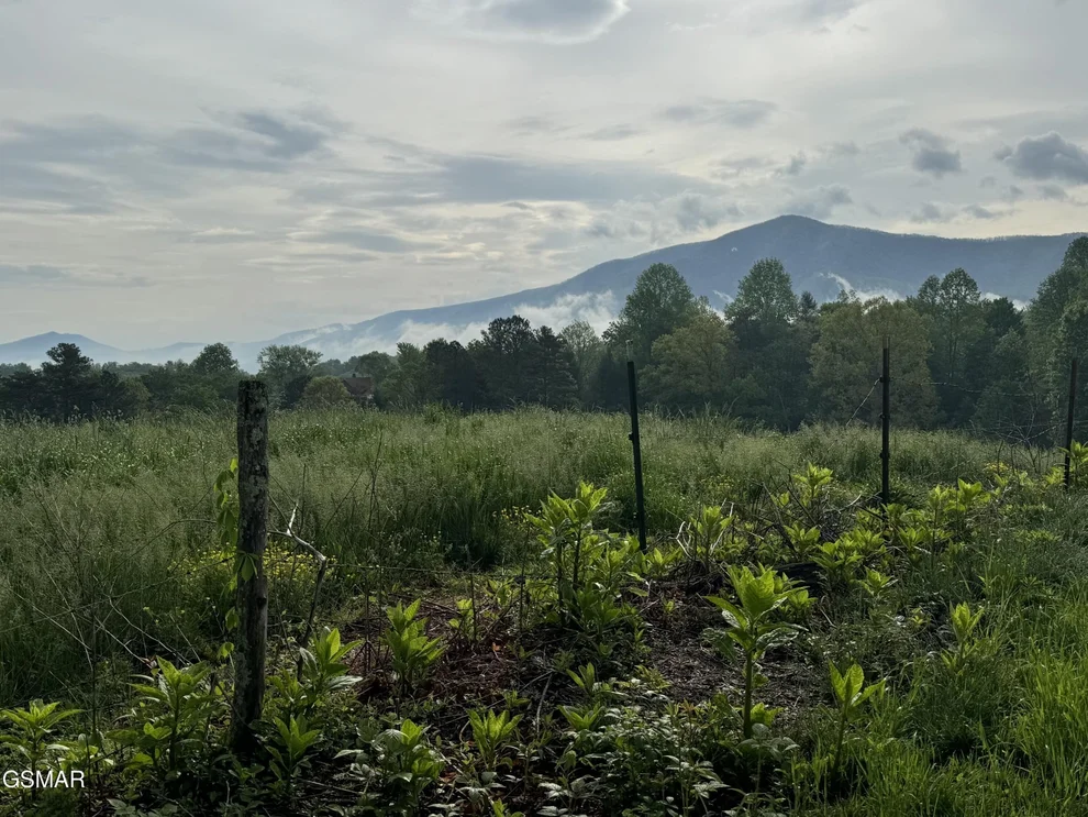 Unit for sale at 3246 Samuel Wear Drive, Sevierville, TN 37862