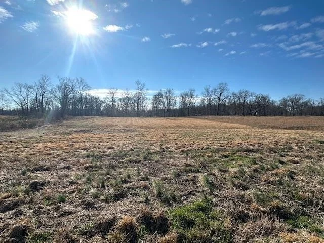 Unit for sale at 136 RIVER RUN ESTATES/CRAVENS RD, Savannah, TN 38372