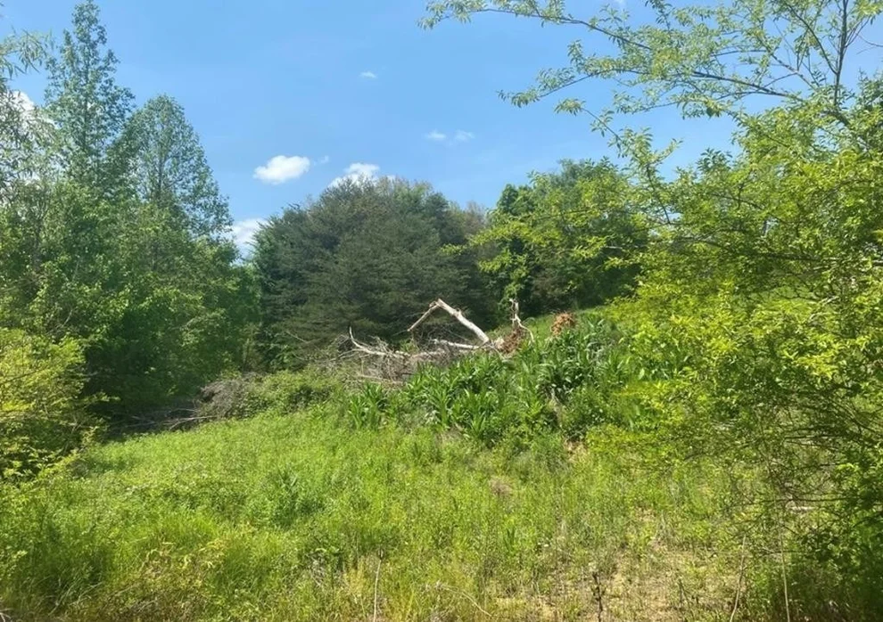 Unit for sale at 1 Sugar Loaf, Sevierville, TN 37876