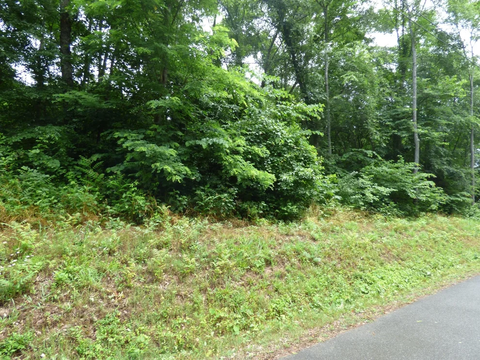 Unit for sale at 1134 Mountain View Ln, Baneberry, TN 37890