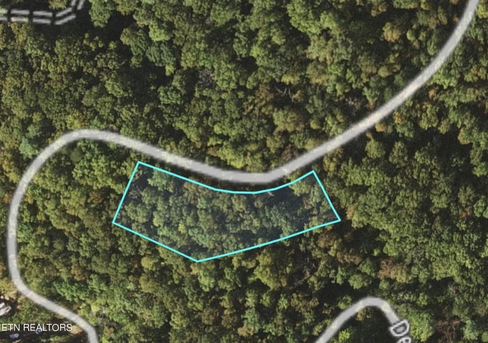 Unit for sale at 0 Deerfoot Rd, Cosby, TN 37722