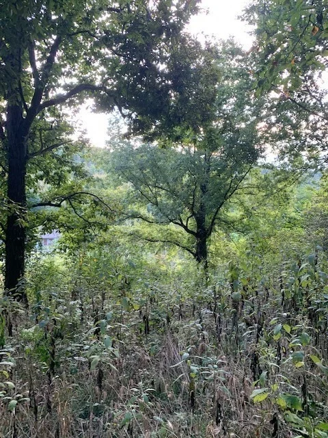 Unit for sale at 0 Cortner Hollow Road, Shelbyville, TN 37160