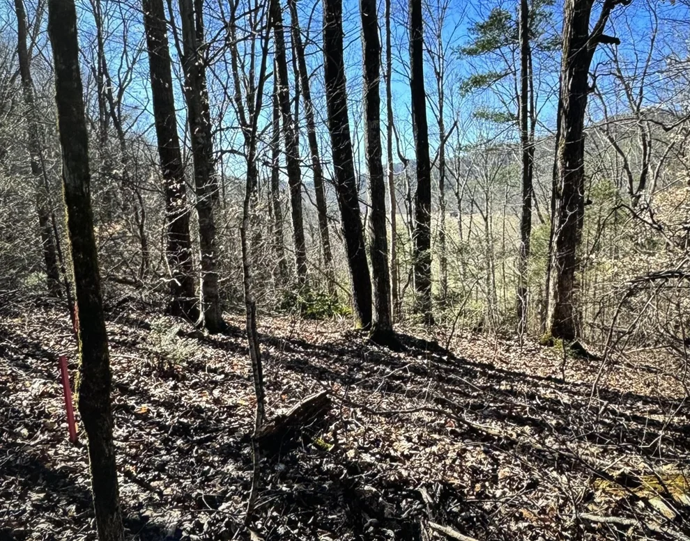 Unit for sale at 30 Walden Cove Way, Sevierville, TN 37862