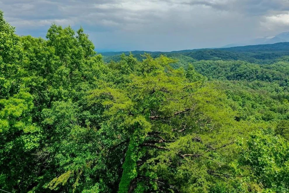 Unit for sale at 1826 Blue Tick Way, Sevierville, TN 37876