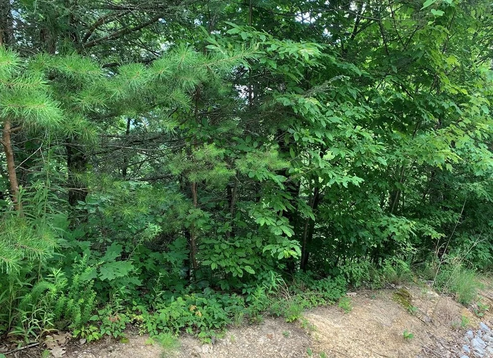 Unit for sale at 84 BIRD VIEW Lane, Sevierville, TN 37862