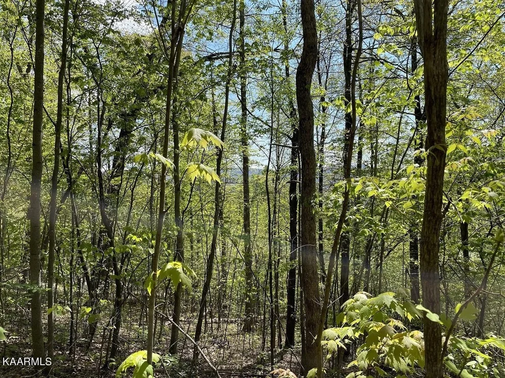 Unit for sale at 4 Country Mtn Rd, Cosby, TN 37722