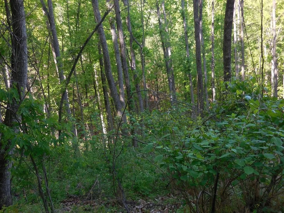 Unit for sale at 40 Whippoorwill Hill Way, Sevierville, TN 37862