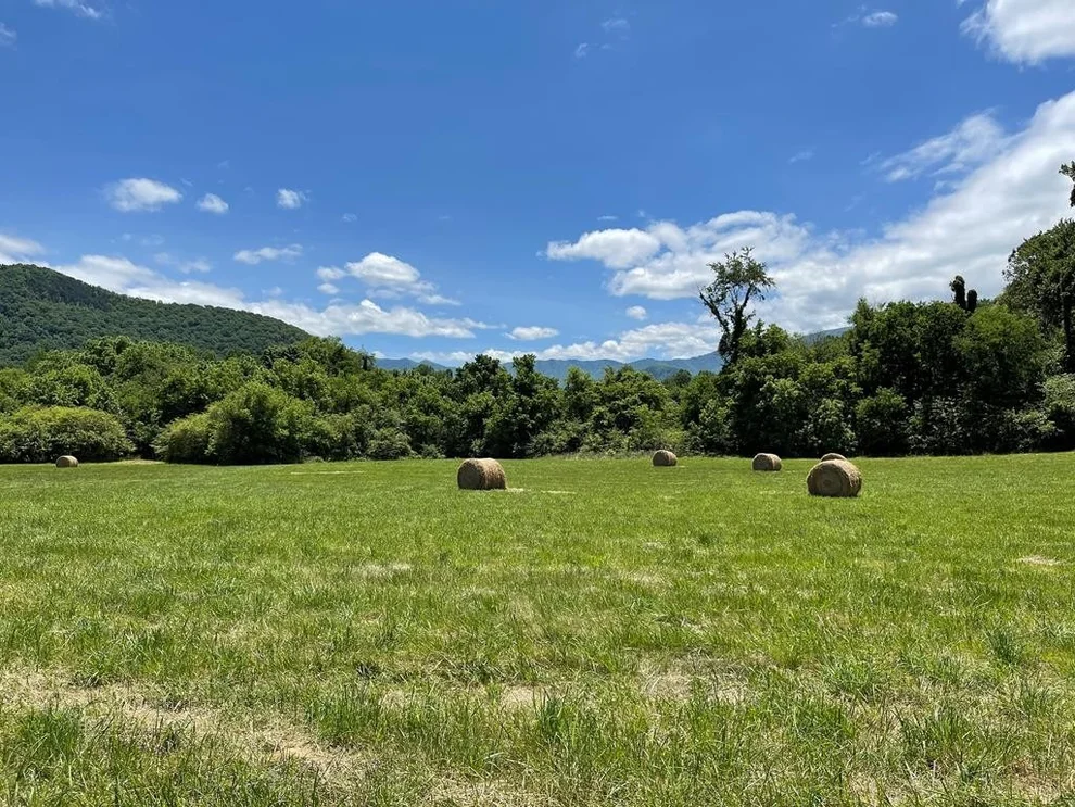 Unit for sale at 0 JONES COVE Road, Cosby, TN 37722