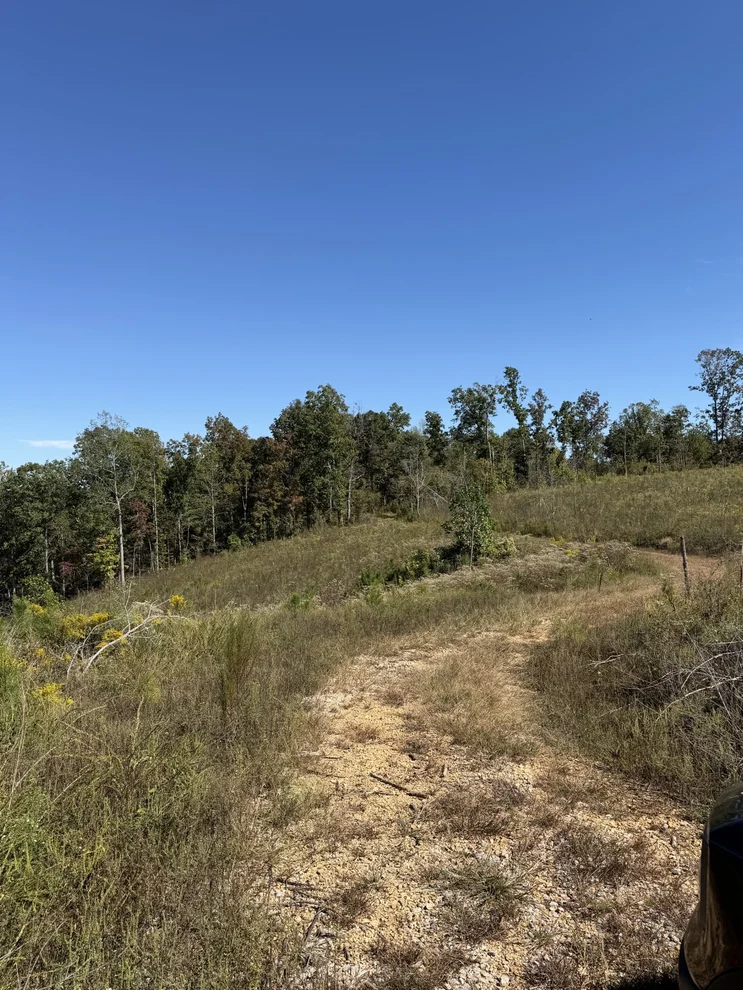 Unit for sale at 1263 Cedar Grove, Iron City, TN 38463