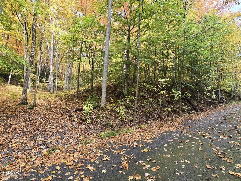 Unit for sale at 15 Sonshine Ridge Road, Cosby, TN 37722