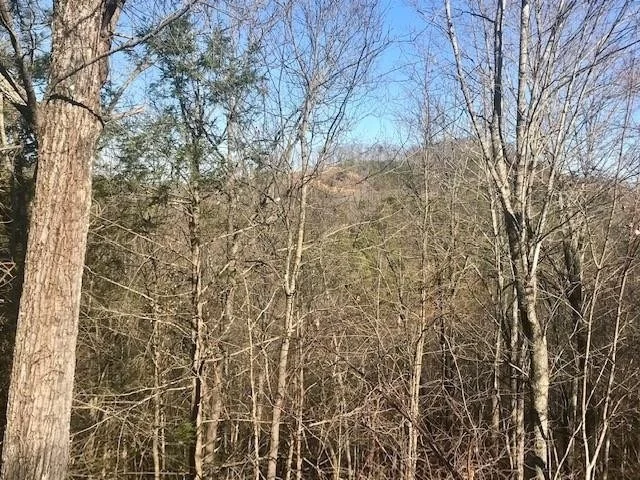 Unit for sale at 12 Lighting Strike Drive, Sevierville, TN 37862