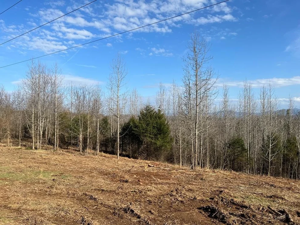 Unit for sale at 0 INDUSTRIAL Road, Newport, TN 37821