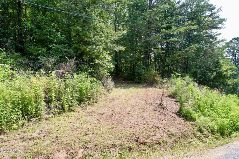 Unit for sale at 334 Huddleston Dr Drive, Cosby, TN 37722