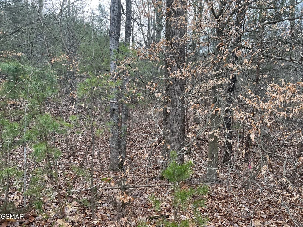 Unit for sale at 23 Blue Springs Way, Newport, TN 37821