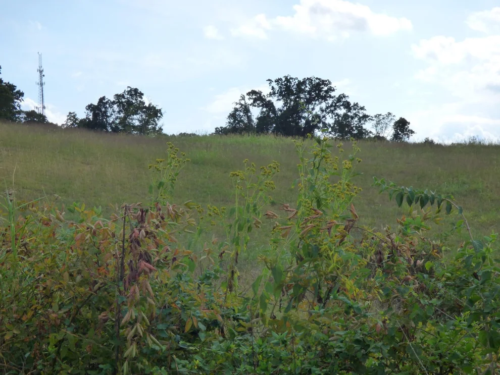 Unit for sale at 4 Rambling Rose Ln, Jefferson City, TN 37760