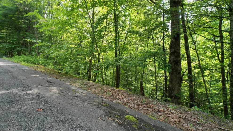 Unit for sale at 98 Black Powder Lane, Sevierville, TN 37862