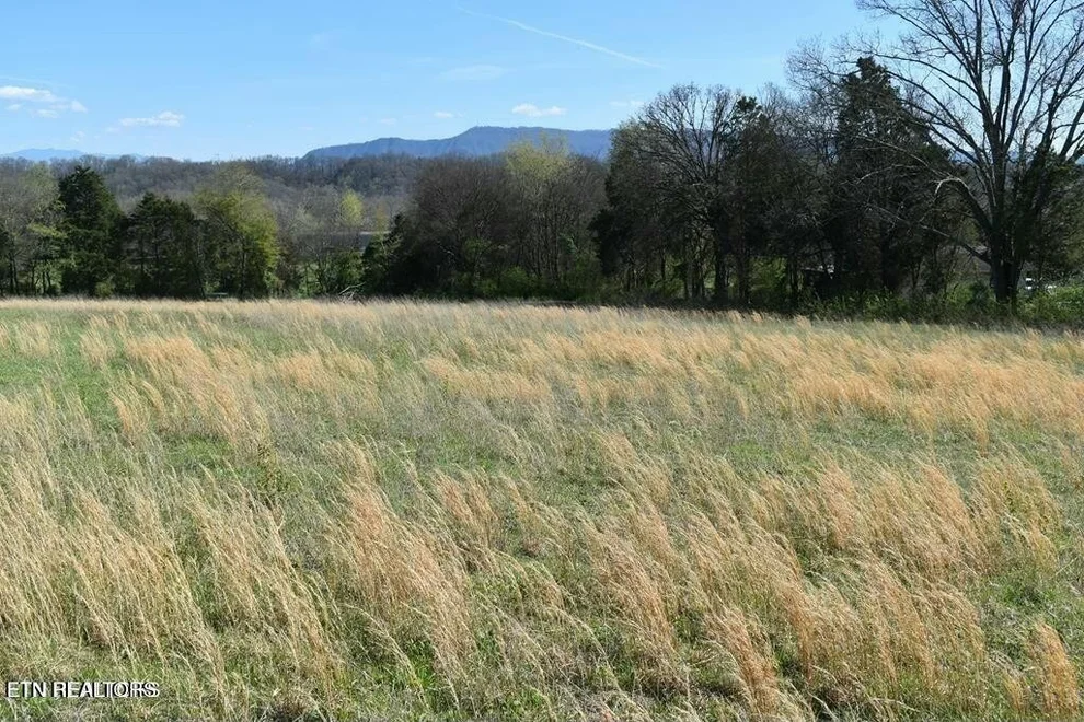 Unit for sale at 19 Temple Rd, Seymour, TN 37865