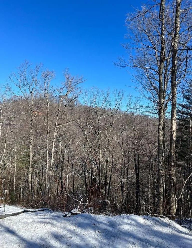 Unit for sale at 0 Rubicon Ridge Drive, Sevierville, TN 37862